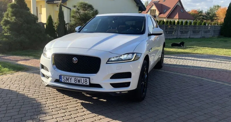 śląskie Jaguar F-Pace cena 115900 przebieg: 189000, rok produkcji 2017 z Prabuty